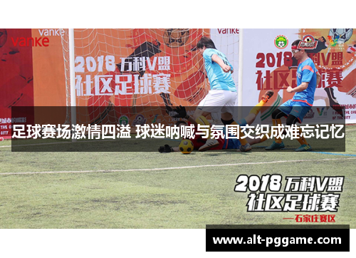 足球赛场激情四溢 球迷呐喊与氛围交织成难忘记忆