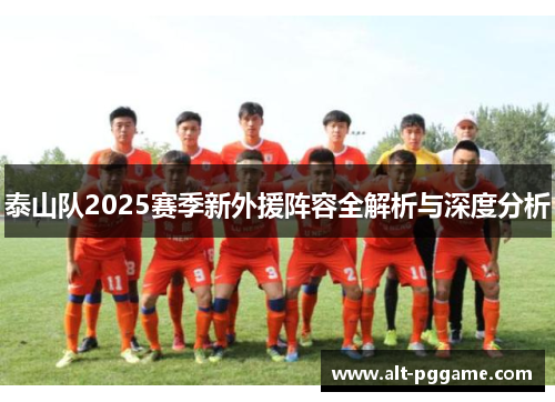 泰山队2025赛季新外援阵容全解析与深度分析