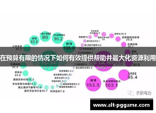 在预算有限的情况下如何有效提供帮助并最大化资源利用