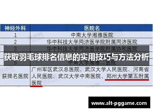 获取羽毛球排名信息的实用技巧与方法分析